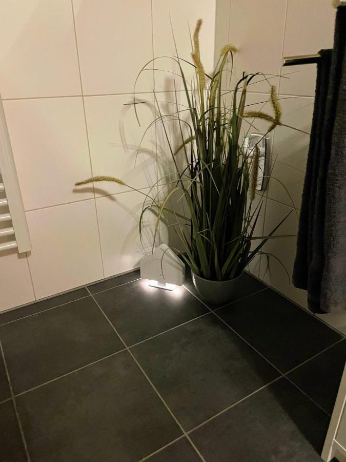 Apartment Zur Wiege Anhalts บัลเลนชเตดท์ ภายนอก รูปภาพ